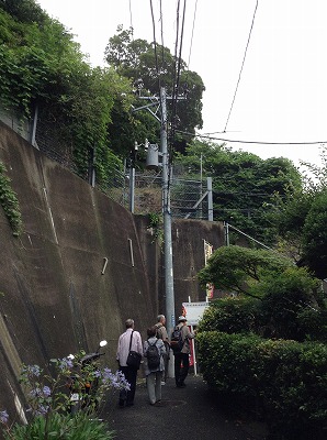 2014-07-05 15.16.49.jpg