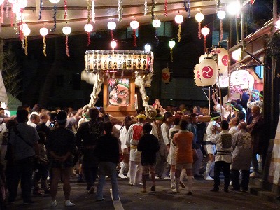 P1000227.jpg