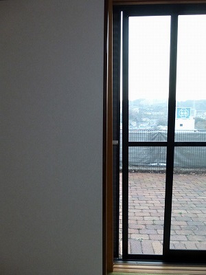 P1000265.jpg